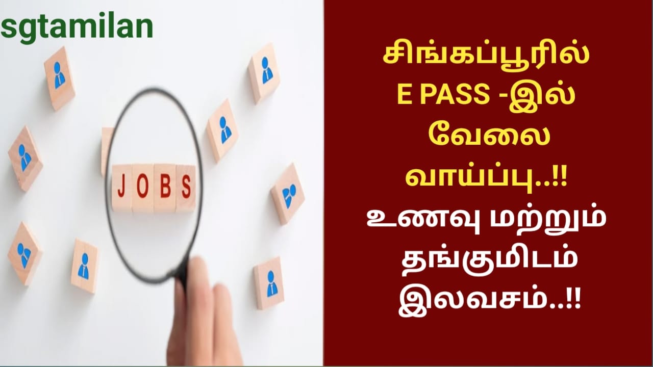 சிங்கப்பூரில் E PASS -இல் வேலை வாய்ப்பு..!! உணவு மற்றும் தங்குமிடம் இலவசம்..!!