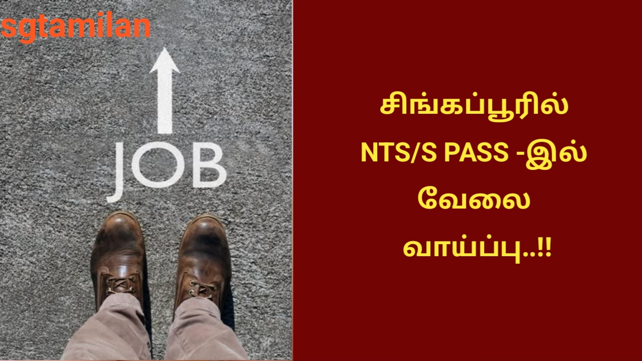 சிங்கப்பூரில் NTS/S PASS -இல் வேலை வாய்ப்பு..!!