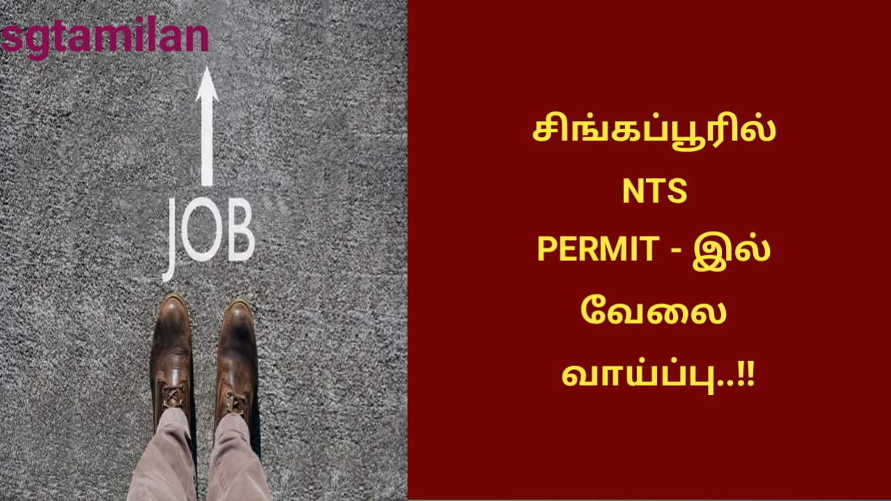 சிங்கப்பூரில் NTS PERMIT – இல் வேலை வாய்ப்பு..!!